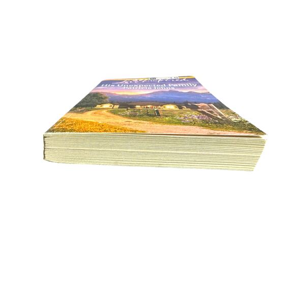 His Unexpected Family by Patricia Johns (Paperback) - Picture 4 of 6